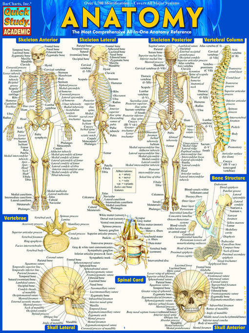 Click image to view full cover